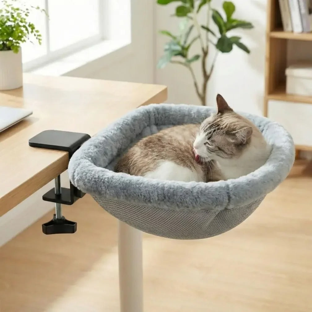 Bed Berry